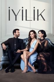 Favorul TV